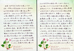 奥様/31才(当時)