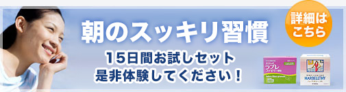 腸内を浄化する便秘薬