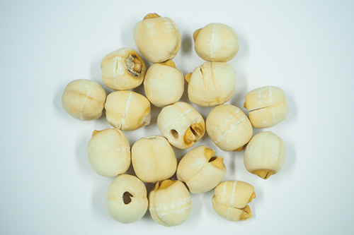 慢性膀胱炎で使われる漢方薬