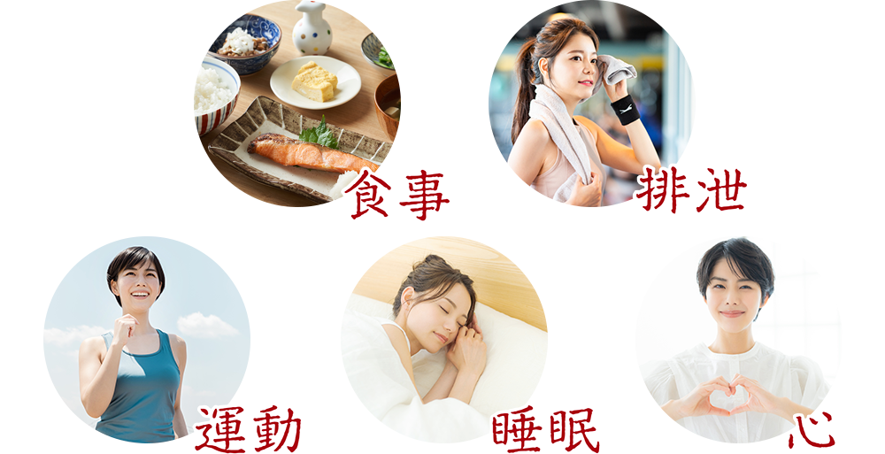 食事・排泄・睡眠・運動・心