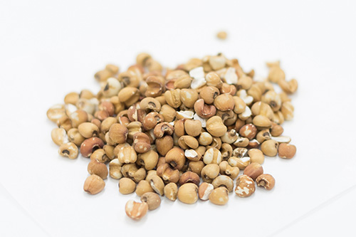 膝の痛み漢方薬