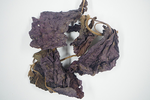 蕁麻疹漢方薬