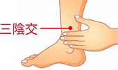 三陰交