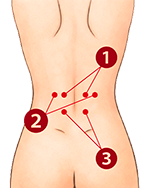 腎兪(じんゆ)・志室(ししつ)大腸兪(だいちょうゆ)