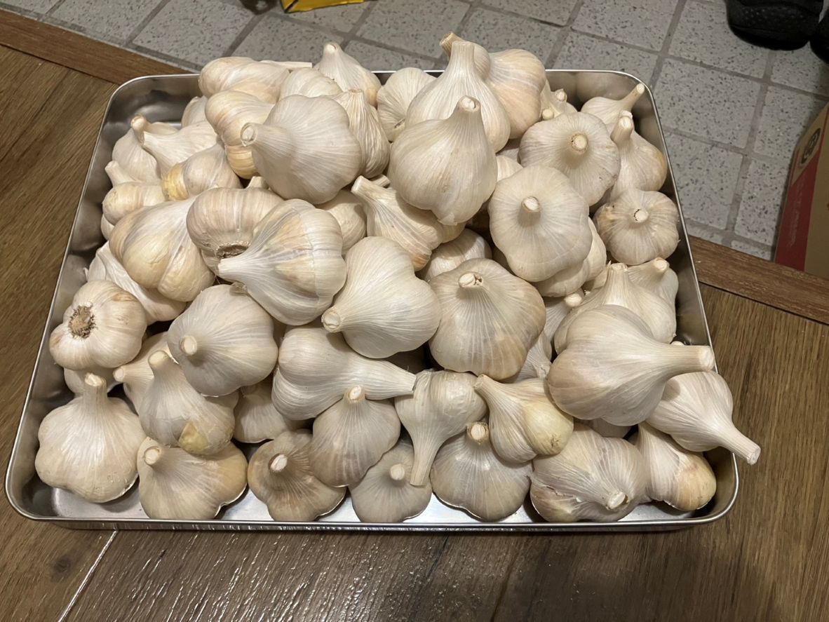 にんにく